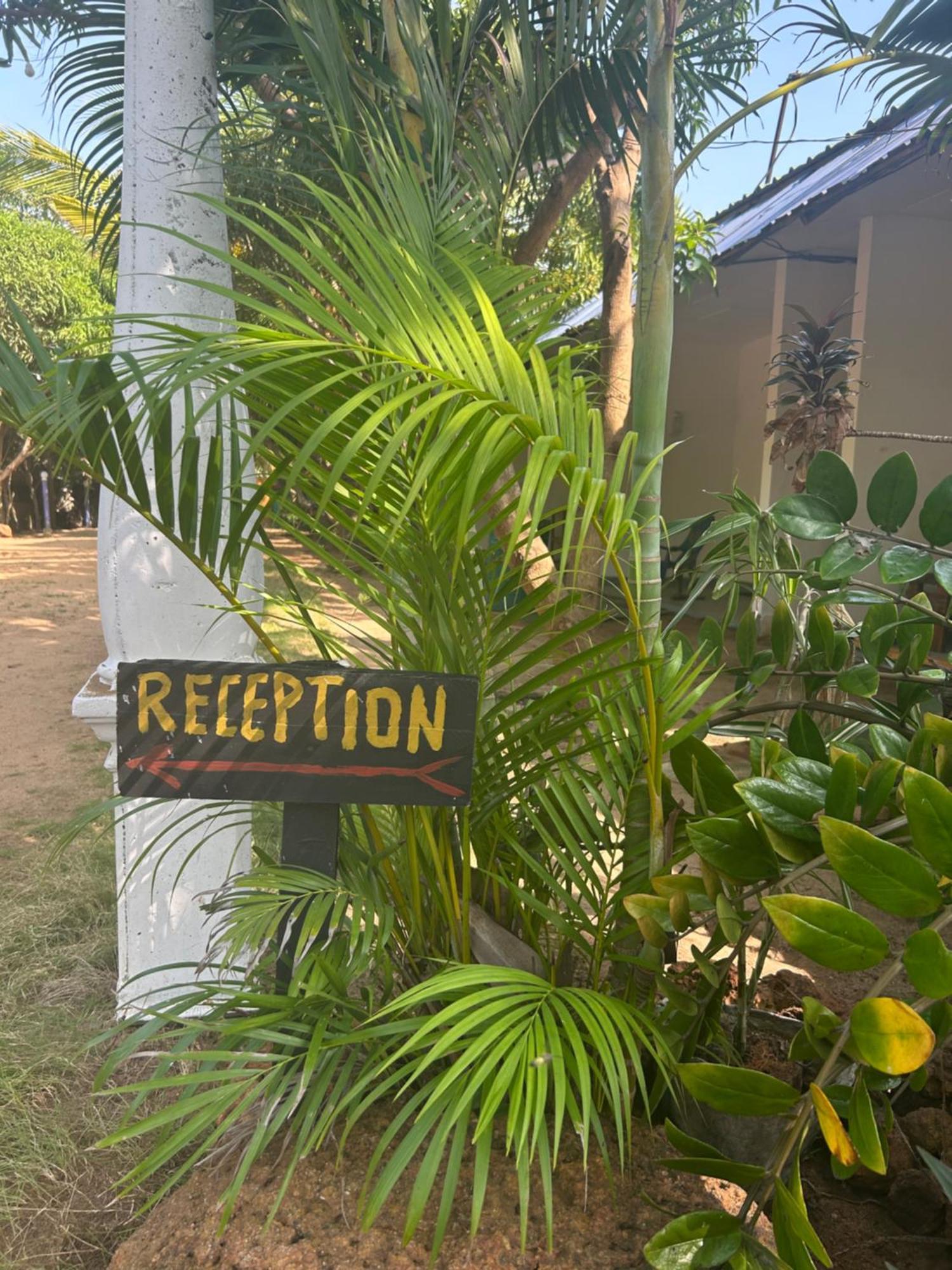 Starfish Beach Bungalow Arugam Bay Exterior foto